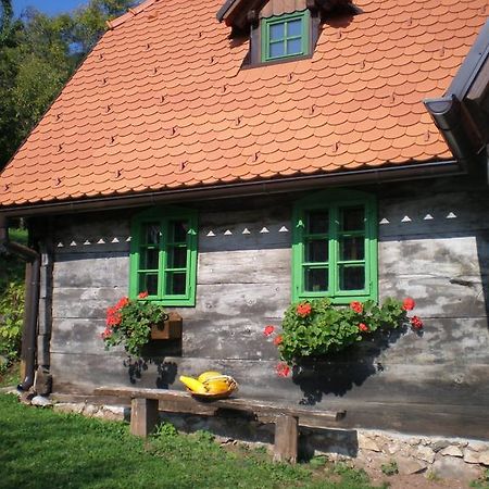 Apartmani Etno Kuca Pod Okicem Samobor Kamer foto
