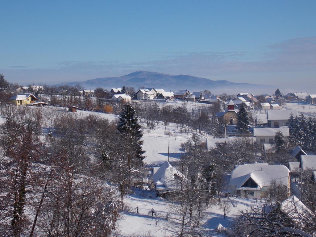 Apartmani Etno Kuca Pod Okicem Samobor Buitenkant foto