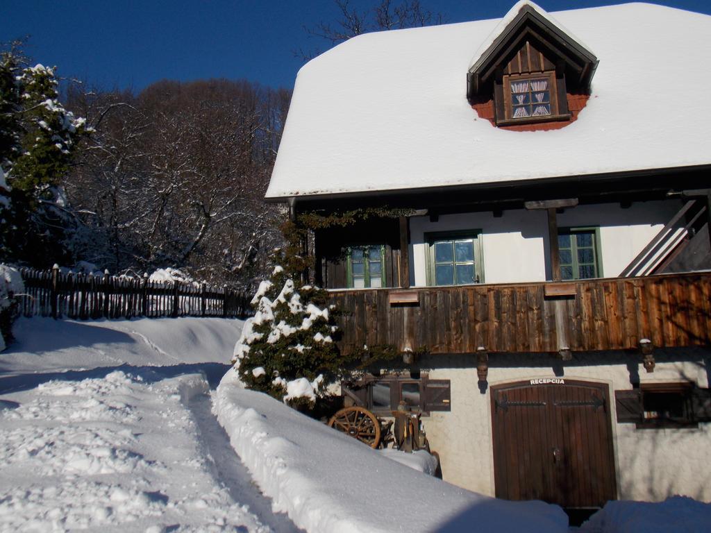 Apartmani Etno Kuca Pod Okicem Samobor Kamer foto